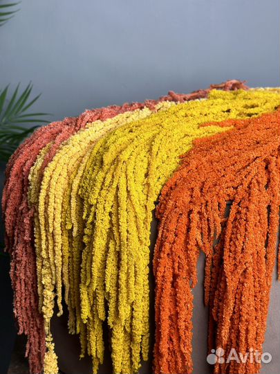 Амарант стабилизированный