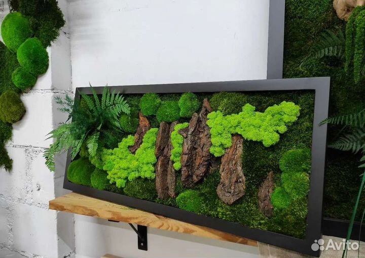 Картины и Панно из стабилизированного мха