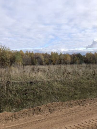 Участок 12 сот. (СНТ, ДНП)