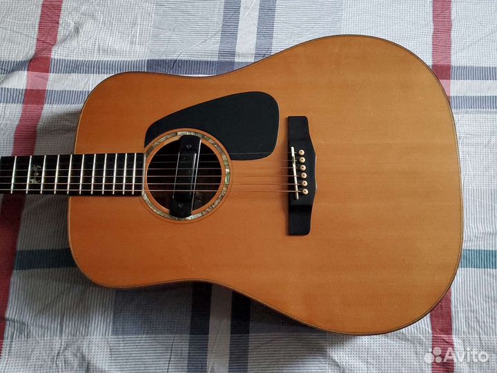 Акустическая Гитара массив Morris M LTD