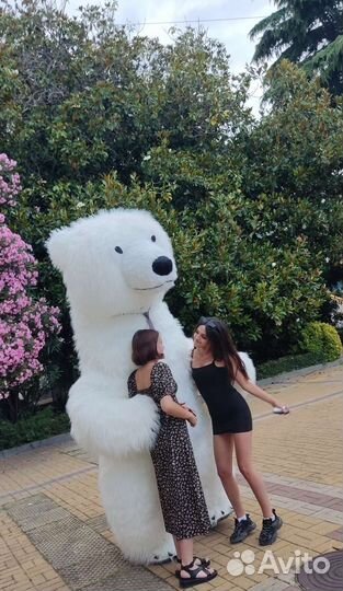 Поздравление от большого белого медведя