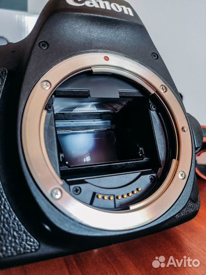 Canon 6d mark ii +объектив 50 мм 1.8 stm