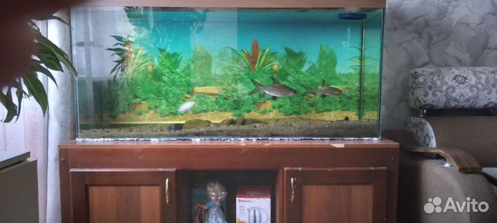 Украшение для аквариума