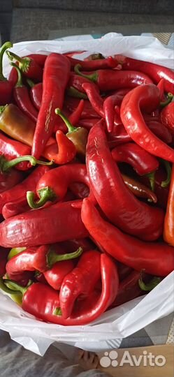 Перец острый свежий