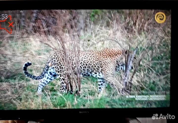 Цветной Ж/К телевизор