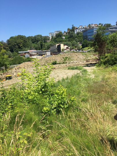 Участок 17 сот. (ИЖС)