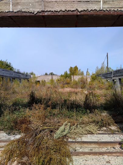 Свободного назначения, 540 м²