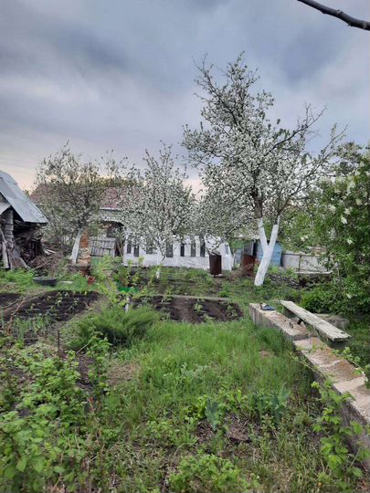 Дача 36 м² на участке 6 сот.