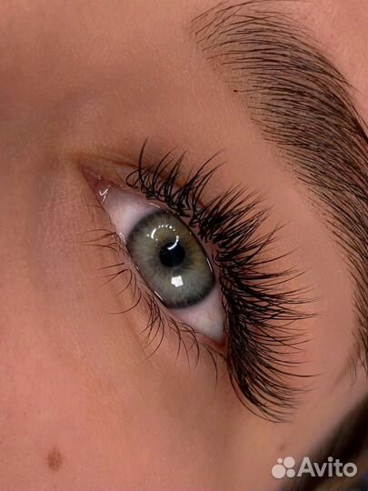 Мастер бровист