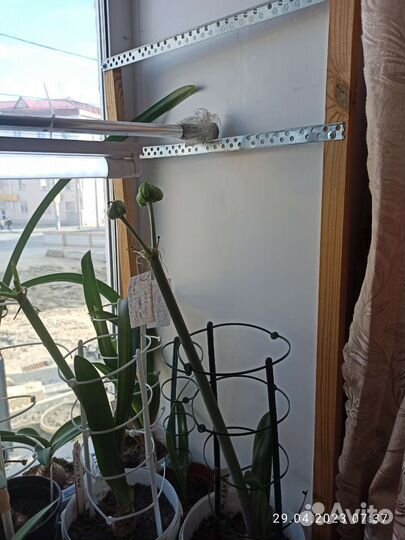 Подсветка для растений