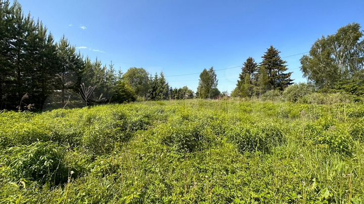 Участок 33 сот. (ИЖС)