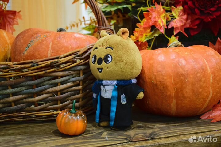 Одежда для skzoo