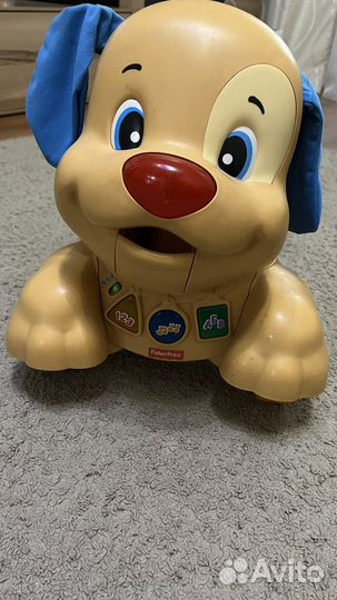 Собака ходунки