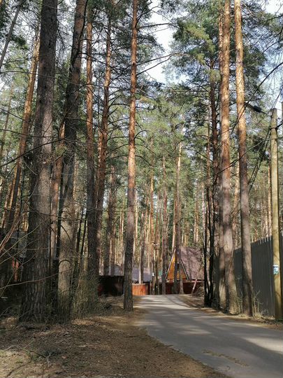 Участок 24 сот. (ИЖС)