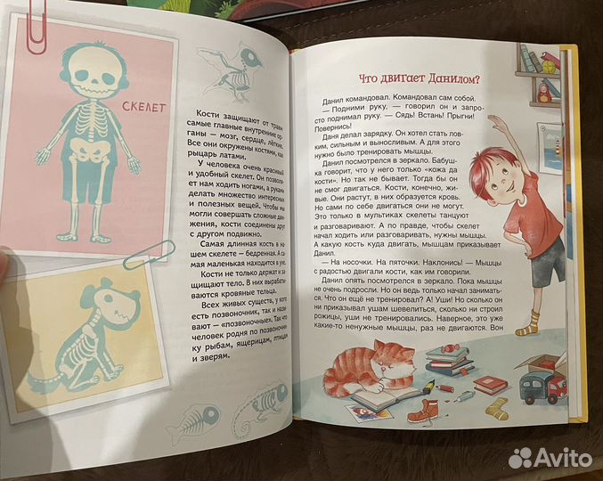 Книги пакетом