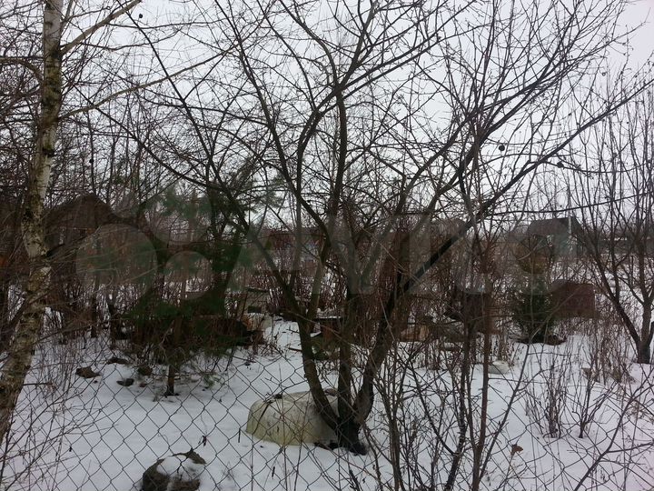 Участок 6 сот. (СНТ, ДНП)