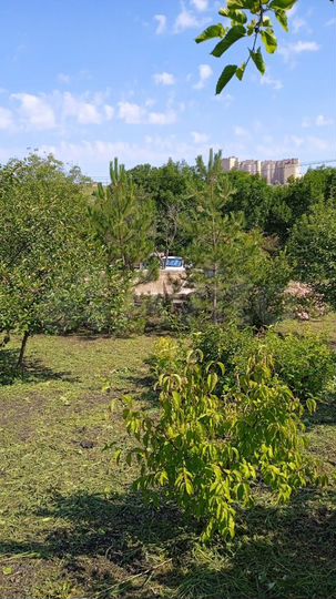 Участок 11 сот. (СНТ, ДНП)