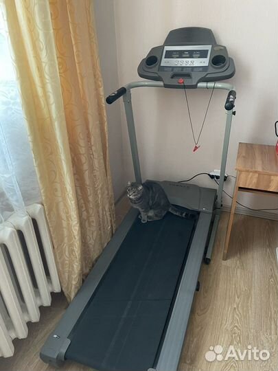 Беговая дорожка электрическая torneo
