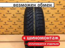 Brasa IceControl 195/65 R15 95T