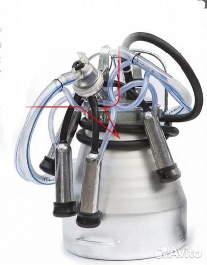 Доильный аппарат для коров бу