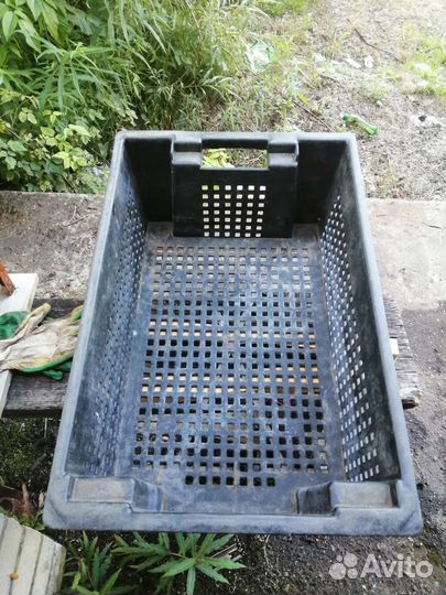 Пластиковые ящики для овощей бу