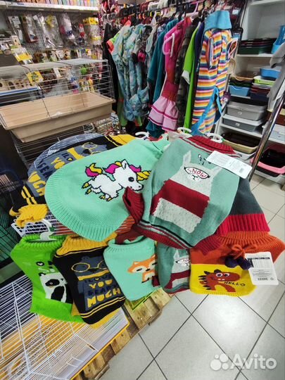 Одежда для собак