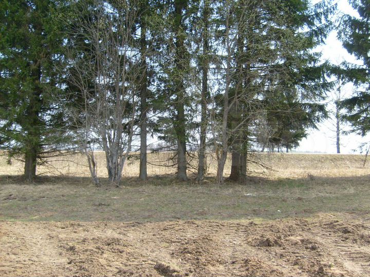 Участок 13 га (СНТ, ДНП)