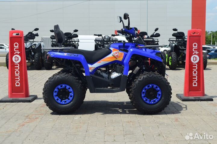 Квадроцикл Motax ATV Grizlik 250 Ultra (Гризлик)