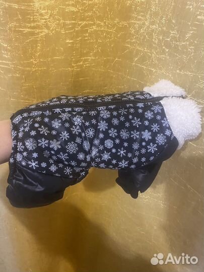 Одежда для собак мелких пород