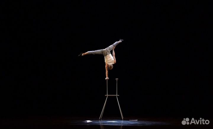 Артисты на праздник