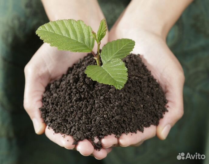 Доставка - Торф / Грунт -земля / Перегной в мешках