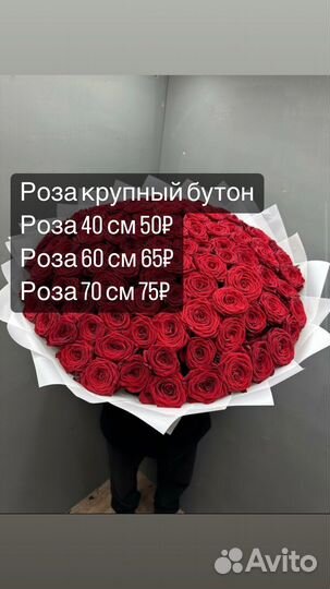 Розы оптом и розница