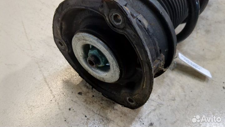 Амортизатор подвески Skoda Kodiaq, 2017