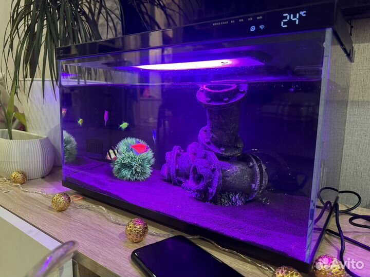 Аквариумные рыбки неоны и умный аквариум xiaomi