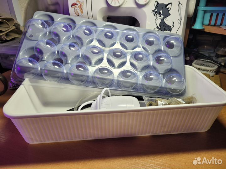 Гидропонная грядка