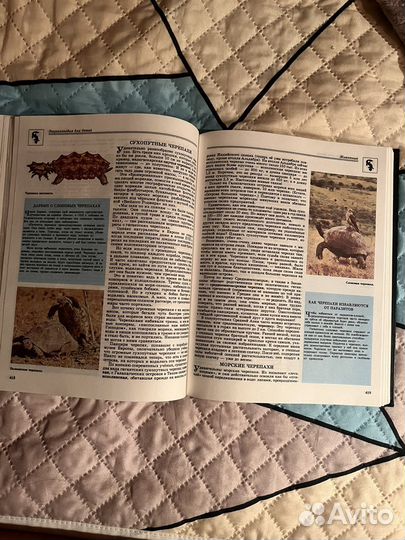 Энциклопедия по биологии