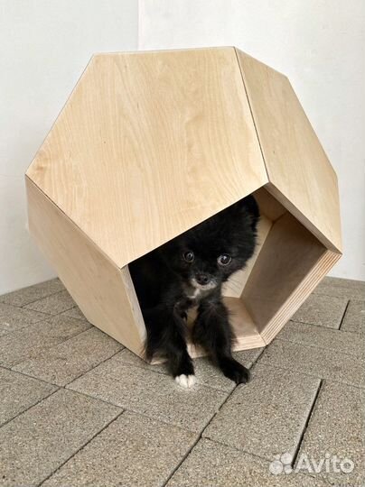 Домик (столик) для питомца