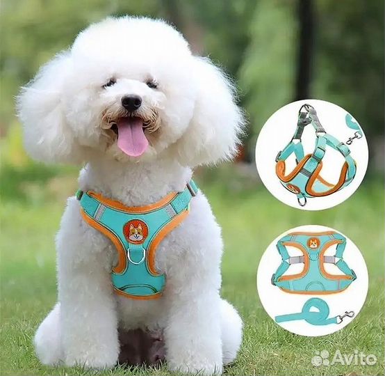 Шлейка с поводком для собак (размер М)