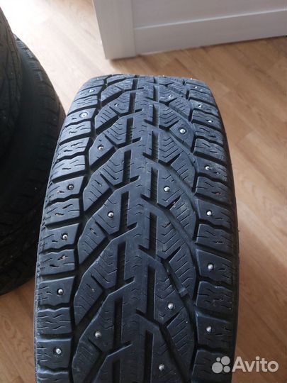 Tigar Ice 195/55 R16 91T