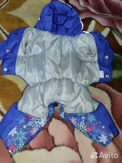 Одежда для маленьких собак