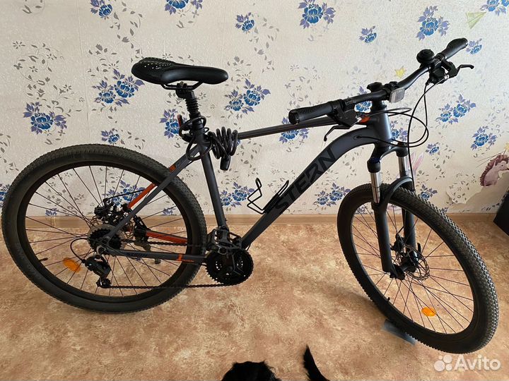 Stern motion 1.0 27,5“