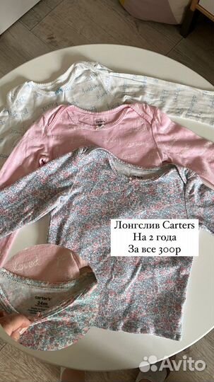 Боди carters