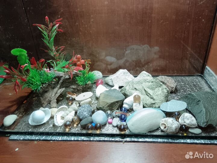 Аквариумы 60 и 35л