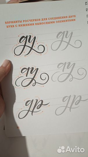 Прописи основы каллиграфии и леттеринга Рольская