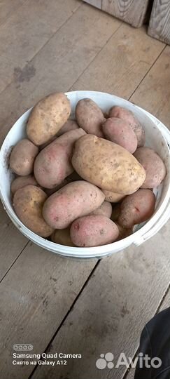 Продам картофель с