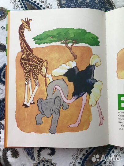 Книга для детей Слонёнок