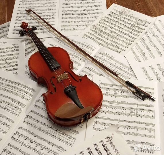 Скрипка2/4