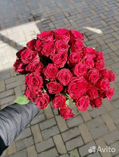 Розы, букет цветов