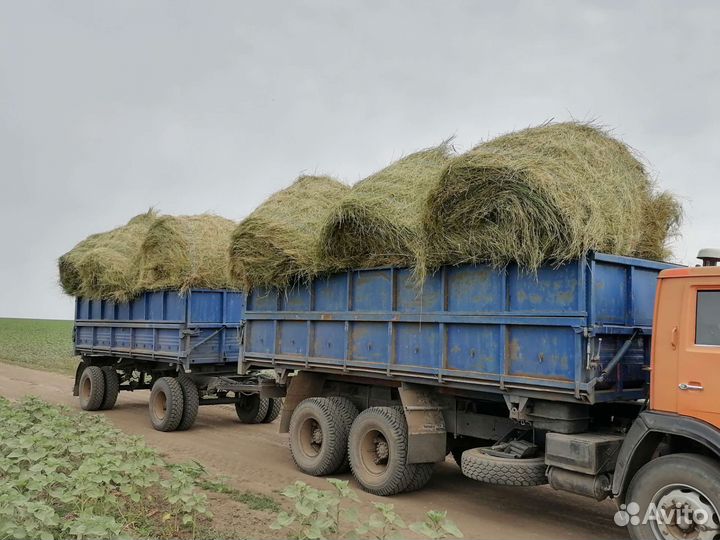 Сено в рулонах