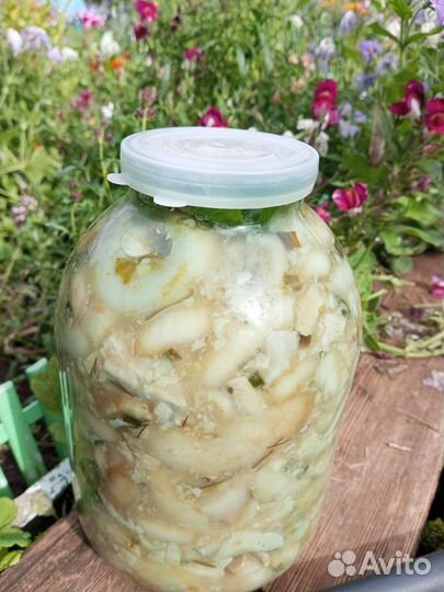 Грибы грузди соленые